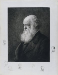 Karol Darwin, angielski przyrodnik, ok. 1860 autorstwa Unbekannt