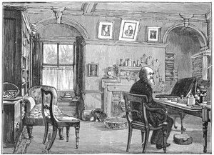 Karol Darwin, angielski przyrodnik, w swoim gabinecie, c1870 1887 autorstwa Unbekannt