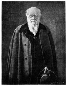 Karol Darwin, znany przyrodnik i myśliciel, 1900 autorstwa Unbekannt