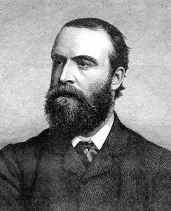 Charles Stuart Parnell, XIX-wieczny polityk irlandzki, c1874-1891 autorstwa Unbekannt