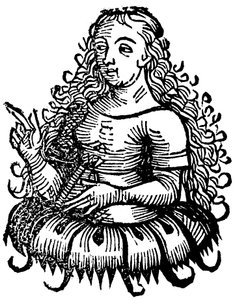 Sybilla kimeryjska, 1493 autorstwa Unbekannt