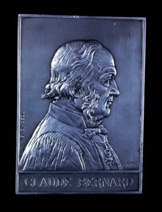 Claude Bernard, XIX-wieczny francuski fizjolog, 1913 autorstwa Unbekannt