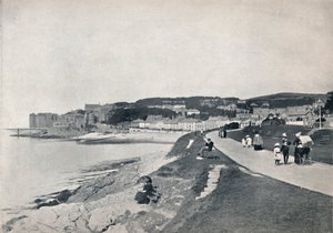 Clevedon - Zielona Plaża, 1895 autorstwa Unbekannt