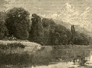 Cliefden Woods, 1898. autorstwa Unbekannt