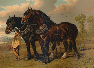 Ogier i klacz Clydesdale, ok. 1879 r. autorstwa Unbekannt