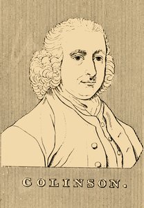 Collinson, 1694-1768, 1830. autorstwa Unbekannt