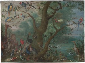 Koncert ptaków, 16601670. autorstwa Unbekannt