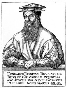 Conrad Gessner, szwajcarski przyrodnik, 1887 autorstwa Unbekannt