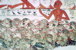 Liczenie gęsi: fragment malowidła ściennego z grobowca Nebamuna, Teby, Egipt, ok. 1350 p.n.e. autorstwa Unbekannt