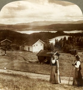 Wiejskie dziewczyny w okresie sianokosów - nad jeziorami Bolkesjo i Folsjo do Himingen, Norwegia, ok. 1905. autorstwa Unbekannt