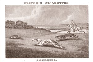 Coursing-11, 1924. autorstwa Unbekannt