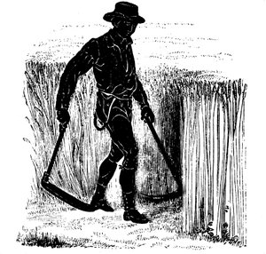 Rotacja upraw: zbieranie kosą Hainault Scythe, 1855 autorstwa Unbekannt