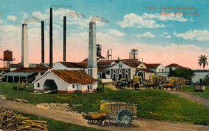 Kuba: Ingenio moliendo. Cukrowni w pracy, ok. 1900 autorstwa Unbekannt
