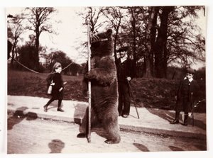 Tańczący niedźwiedź, ok. 1905 autorstwa Unbekannt