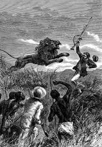 David Livingstone, szkocki misjonarz i afrykański odkrywca, atakowany przez lwa, ok. 1860 r. autorstwa Unbekannt