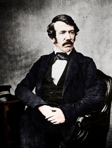 David Livingstone, szkocki misjonarz i odkrywca, XIX wiek autorstwa Unbekannt