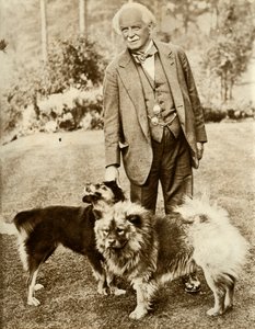 David Lloyd George, 1935. autorstwa Unbekannt