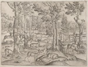 Jeleń w lesie, ok. godz. 1520. autorstwa Unbekannt