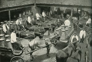Samochody dostawcze z Central Depot Messrs, Freeth i Pococks w Vauxhall, 1902. autorstwa Unbekannt