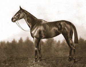 Poważny, 1911. autorstwa Unbekannt