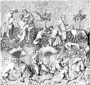 Choroby psów i ich leczenie, XIV wiek 1849 autorstwa Unbekannt