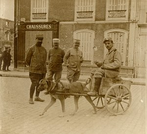 Wózek dla psów, Francja, c1914-c1918 autorstwa Unbekannt