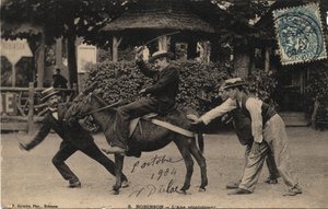 Osioł Tetu i krnąbrny - Pocztówka z 1904 r. autorstwa Unbekannt