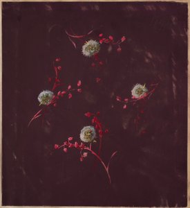 Rysunek, z Saint Germain - tomy 1 i 2, ca. 1896 autorstwa Unbekannt