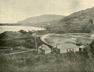 Szyja orła jastrzębia, Półwysep Tasmana, 1901. autorstwa Unbekannt