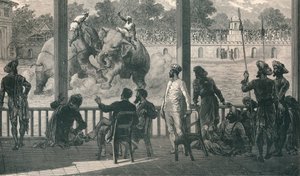 Walka słoni w Barodzie, 1896 autorstwa Unbekannt