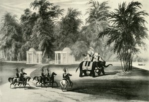 Słonie i ochrona ciała w Barrackpore Park, 1820, 1925. autorstwa Unbekannt