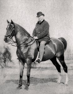 Emile de Girardin, francuski dziennikarz, publicysta i polityk, 1866 autorstwa Unbekannt