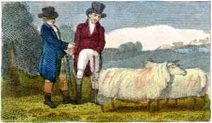 Rolnicy omawiają owce Dishley New Leicester, 1822 autorstwa Unbekannt