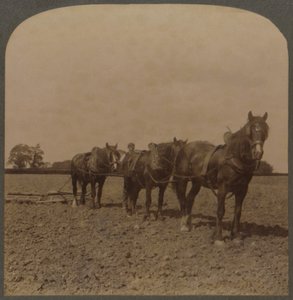 Rolnictwo w Anglii - Harrowing the Land, 1909. autorstwa Unbekannt