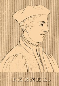 Paproć, 1497-1558, 1830. autorstwa Unbekannt