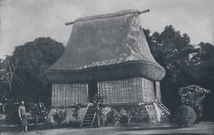 Dom Fidżi, 1924 autorstwa Unbekannt