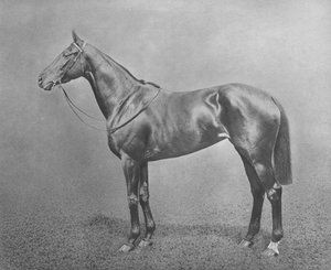 Spryt, 1911 autorstwa Unbekannt