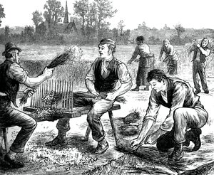 Falowanie lnu, ok. 1880 autorstwa Unbekannt