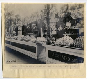 Wystawa ogrodnicza na Florydzie w Pałacu Ogrodnictwa na Światowych Targach w 1904 r. autorstwa Unbekannt