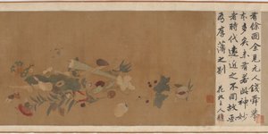 Kwiaty, owoce, muszle i owady, 1368-1644. autorstwa Unbekannt