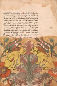 Folio z Kalila wa Dimna, XVIII wiek. autorstwa Unbekannt