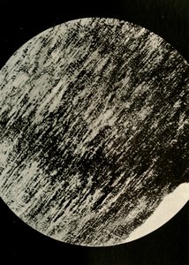 Fossil Wood w Sandstone, z moreny w 85° szerokości geograficznej południowej, c1908, 1909. autorstwa Unbekannt