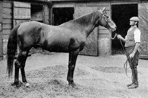 Foxhall, 1880-1904, 1911 autorstwa Unbekannt