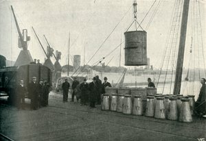 Wyładowywanie francuskiego mleka w Southampton, 1902. autorstwa Unbekannt