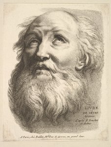 Frontyspis: Głowa brodatego mężczyzny, z Livre de Têtes Gravées dapres F. Bouch..., XVIII wiek. autorstwa Unbekannt
