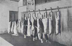 Mięso mrożone, 1923. autorstwa Unbekannt