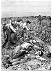 Gangowy system pracy dzieci, ok. 1885 r. autorstwa Unbekannt