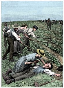 Gangowy system pracy dzieci, ok. 1885 r. autorstwa Unbekannt
