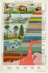 Geologia i Paleontologia, ok. 1880 autorstwa Unbekannt