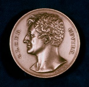 Georges Leopold Chretien Frederic Dagobert, Baron Cuvier, francuski anatom, XIX w. autorstwa Unbekannt
